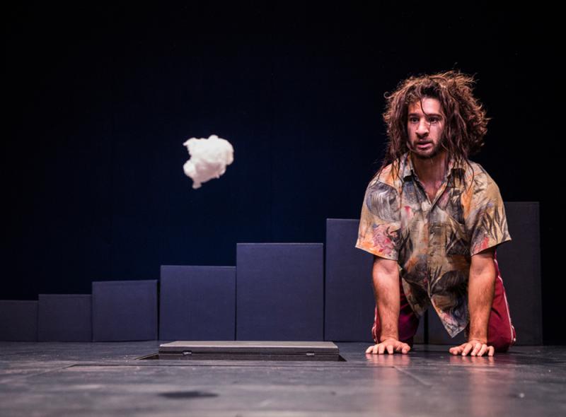 Le bestiaire d'Hichem