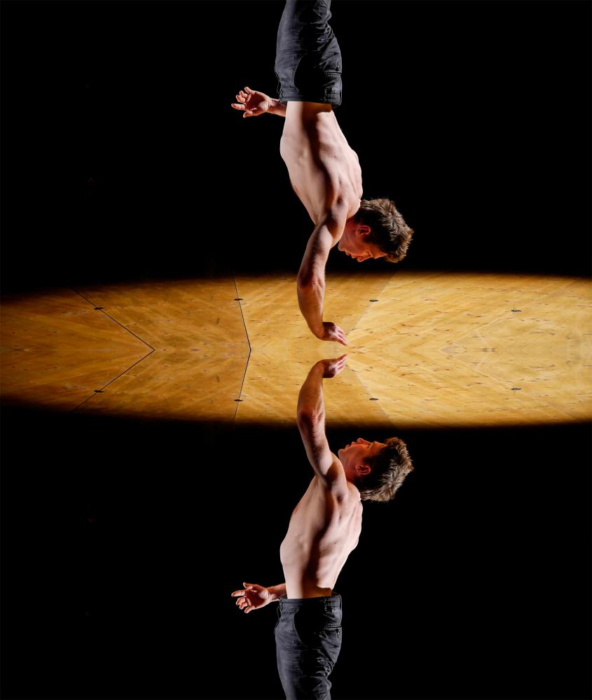 Nartiste SPECTACLE ANNUL�